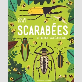 Scarabees et autres coleopteres