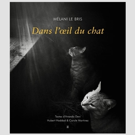 Dans l'oeil du chat