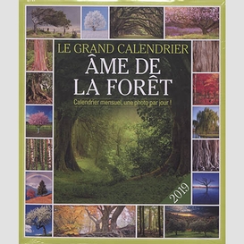 Grand calendrier ame de la foret 2019