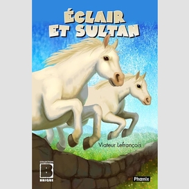 Eclair et sultan