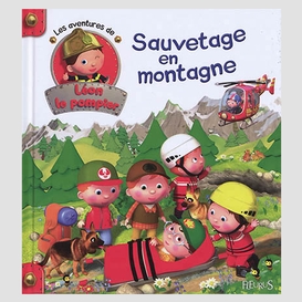 Sauvetage en montagne