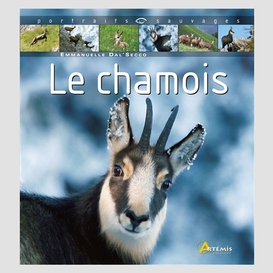 Chamois le