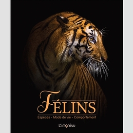 Felins