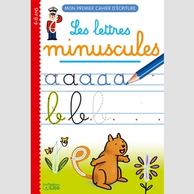 Lettres minuscules (les)