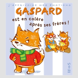 Gaspard est en colere contre ses freres