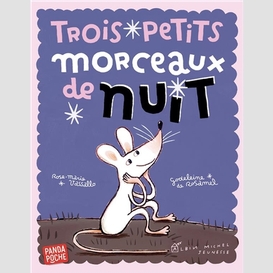 Trois petits morceaux de nuit