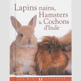 Lapins nains hamsters et cochons d'inde