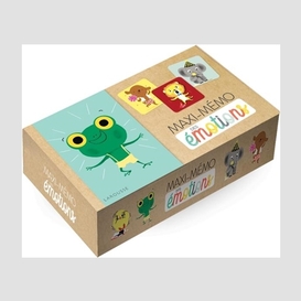 Coffret maxi-memo des emotions