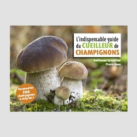 Indispensable guide cueilleur champignon