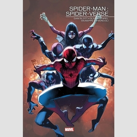 Spider-man spider verse
