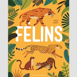 Felins