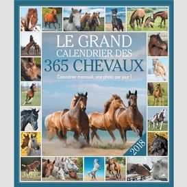 Grand calendrier 365 chevaux 2018