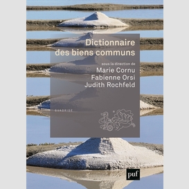 Dictionnaire des biens communs