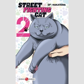 Street fighting cats t2