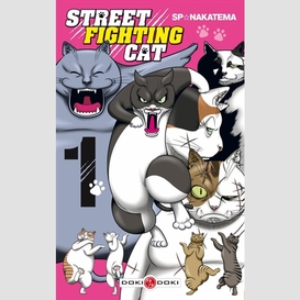 Street fighting cats t1