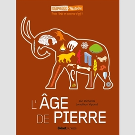 Age de pierre (l')