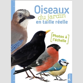 Oiseaux du jardin en taille reelle