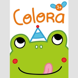 Colora 3+ grenouille