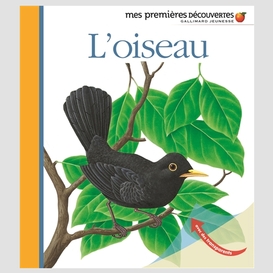 Oiseau (l')