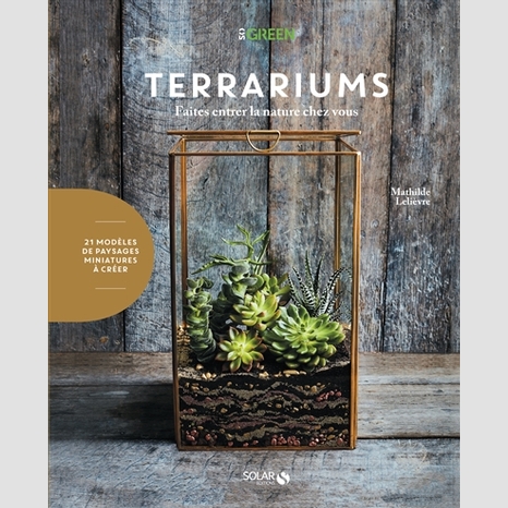 Le terrarium végétal enchante les jeunes