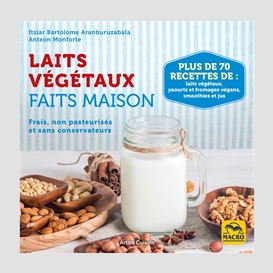 Laits vegetaux faits maison