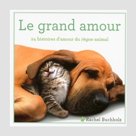 Grand amour (le)