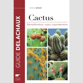 Cactus identification soin reproduction
