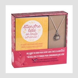 Attendre bebe en toute serenite(coffret)