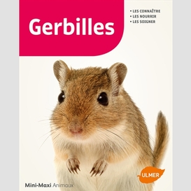 Gerbilles