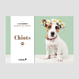 Calendrier chiots