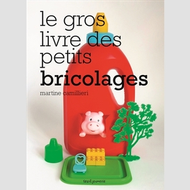 Gros livre des petits bricolages (le)