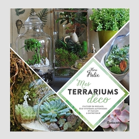 Mes terrariums deco