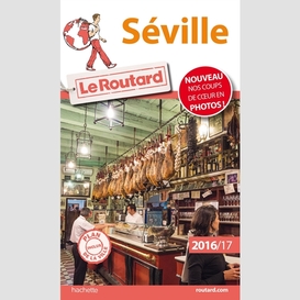 Seville 2016-17 + plan