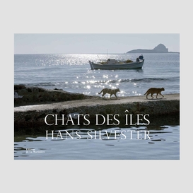 Chats des iles