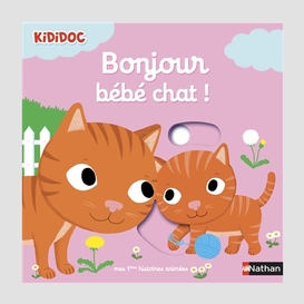 Bonjour bebe chat