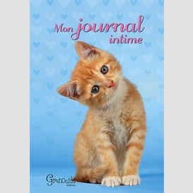 Mon journal intime (chat)