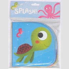 Splash tortue