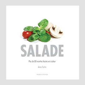 Salade -plus de 80 recettes