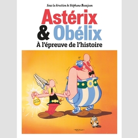 Asterix et obelix epreuve de l'histoire