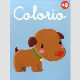 Colorio chien