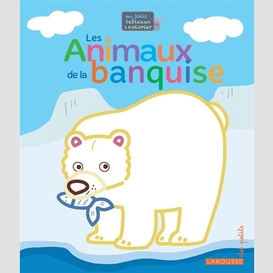 Animaux de la banquise