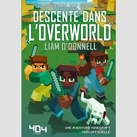 Descente dans l'overworld