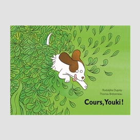 Cours youki