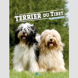 Terrier du tibet le