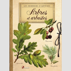 Arbres et arbustes