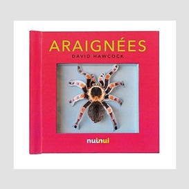 Araignees  (pop-up)