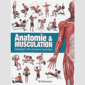 Anatomie et musculation