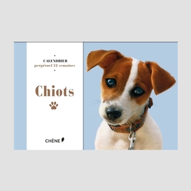 Calendrier chiots 2016