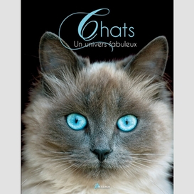 Chats: un univers fabuleux