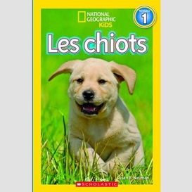 Chiots (les) niveau 1